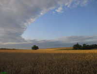 /album/fotogalerie/bildstoff-499-jpg/